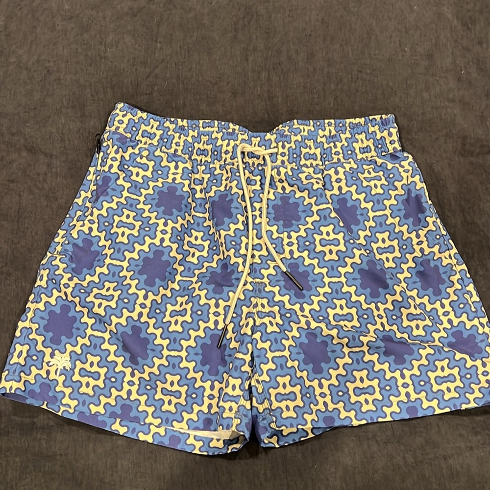 OAS azul mens swim short